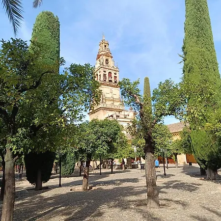 아파트 Casa Alfonso *